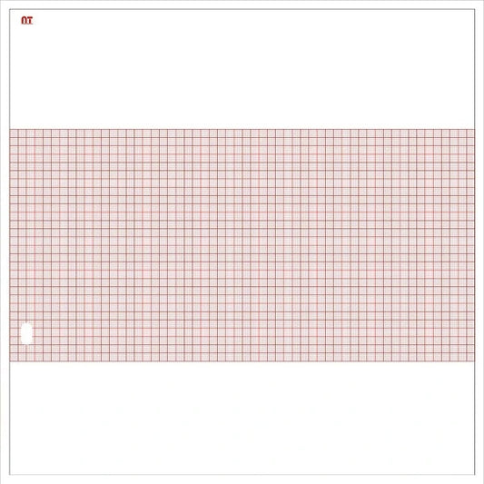 PAPEL PARA ECG 215X280 MM NT-M1707A